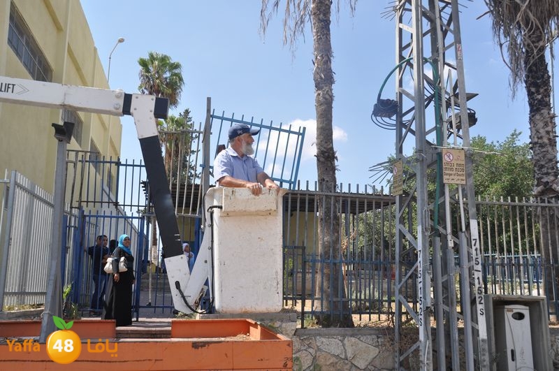 cat lud 910 (43).JPG